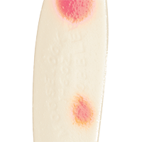 Silver Glow/Orange Dot