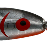 Silver Minnow