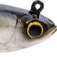 Silver Mullet