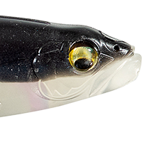 Silver Shad