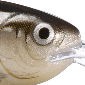 Silver Shad