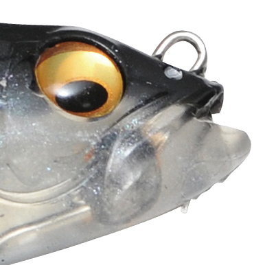 Silver Shad