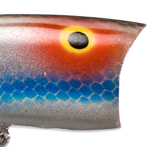 Silver Shad G-Finish