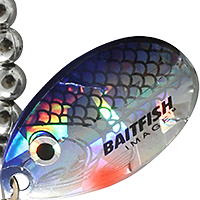 Silver Shiner