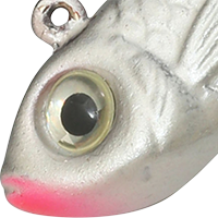 Silver Shiner