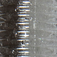 Smelt