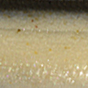 Smelt