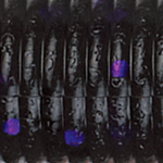 Smoke Black Purple Flake