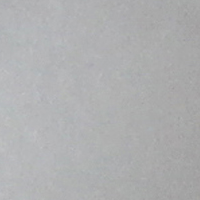 Snow Roe