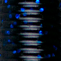 Soft Black/Blue Flake