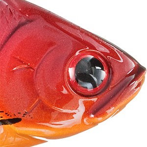 Spring Craw