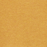 Spruce Yellow