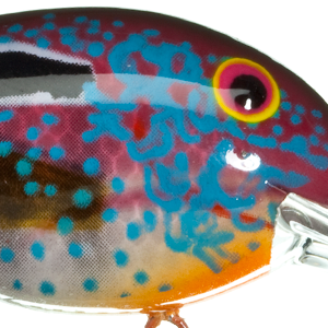 Sun Perch
