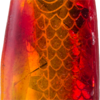 Super Glo Goldfish