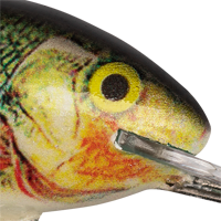 Supernatural Perch