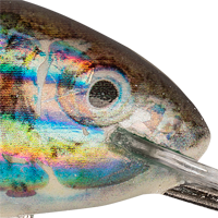 Supernatural Shiner