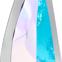 Surfer