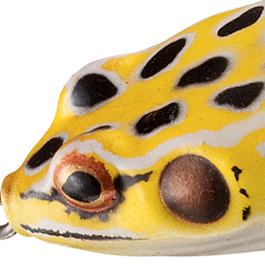 Swamp Frog