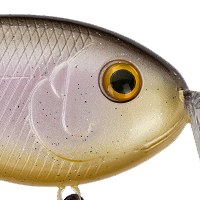 Sweet Shad