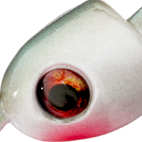 Tennessee Shad