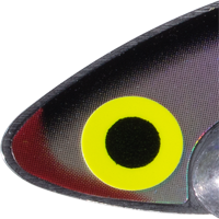 Tennessee Shad