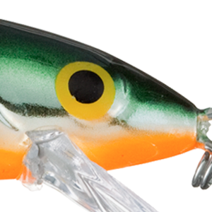 Tennessee Shad