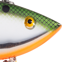Tennessee Shad