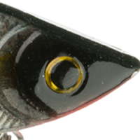 Tennessee Shad