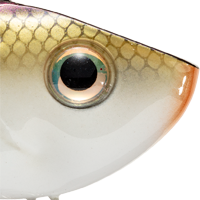 Tennessee Shad 2.0