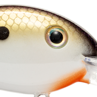 Tennessee Shad 2.0