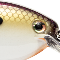 Tennessee Shad 2.0