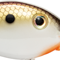 Tennessee Shad 2.0