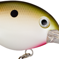 Tennessee Shad