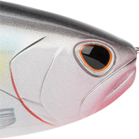 Threadfin Shad