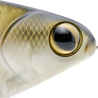 Threadfin Shad