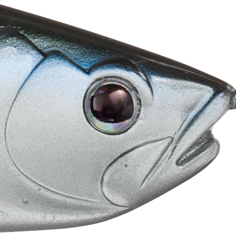 Threadfin Shad