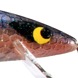 Threadfin Shad