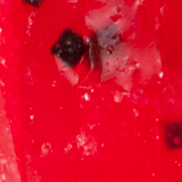 Tomato Pepper