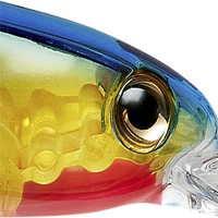 Transparent Gizzard Shad