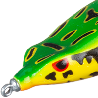 Tree Frog