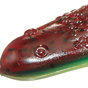Tree Frog