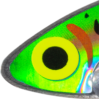Trout