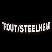 Trout/Steelhead