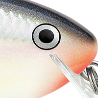 Tuxedo Shad