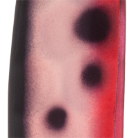 UV Elite Three Days at Sea