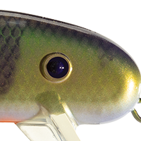 UV Natural Perch