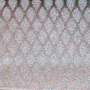 UV Whitefish