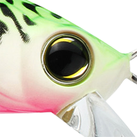 Wacky Mackerel