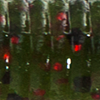 Watermelon Black Red Flake
