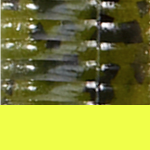 Watermelon Seed Chartreuse